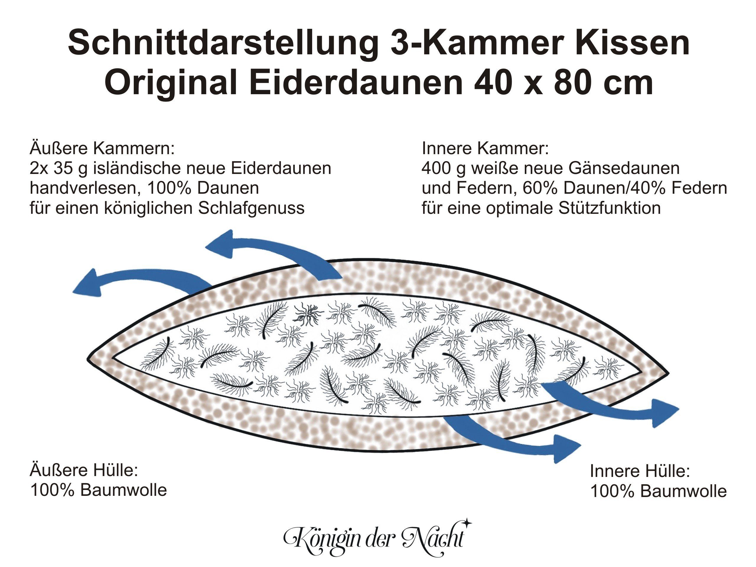 Daunenkissen ORIGINAL EIDERDAUNEN 3-Kammer-Kissen, Königin der Nacht, Füllung: isländische neue Eiderdaunen (außen), Seitenschläfer, Rückenschläfer, für Allergiker geeignet