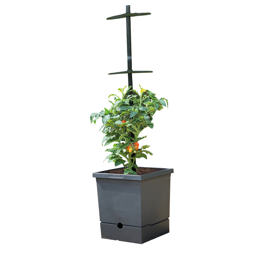 Romberg Powertec Garden Pflanztopf mit Rankhilfe und Wasserspeicher