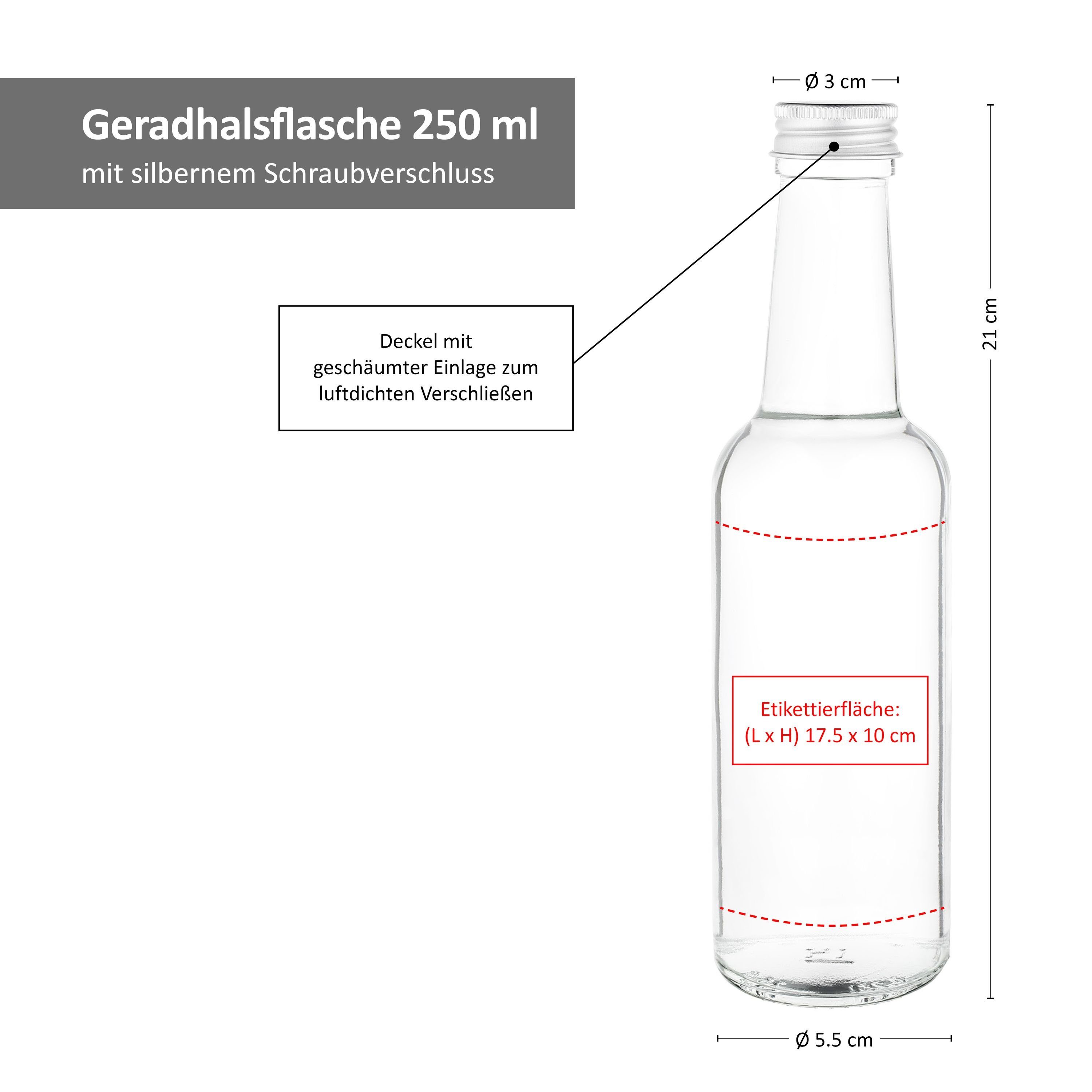 MamboCat Vorratsglas 12er Set Geradhalsflasche 250ml + Schraubverschluss Deckel Silber, Glas