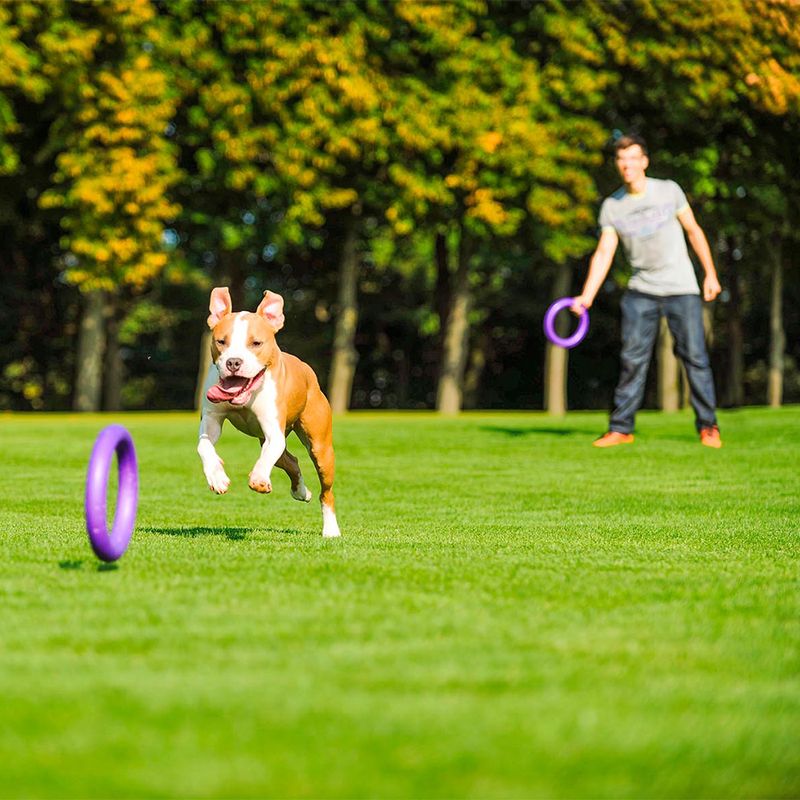 Ferplast Hundespielzeug Puller zu TOP-Preisen