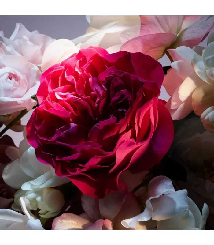 LA NUIT TRÉSOR FLEUR DE NUIT Eau de parfum florale