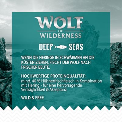 Wolf of Wilderness Adult 