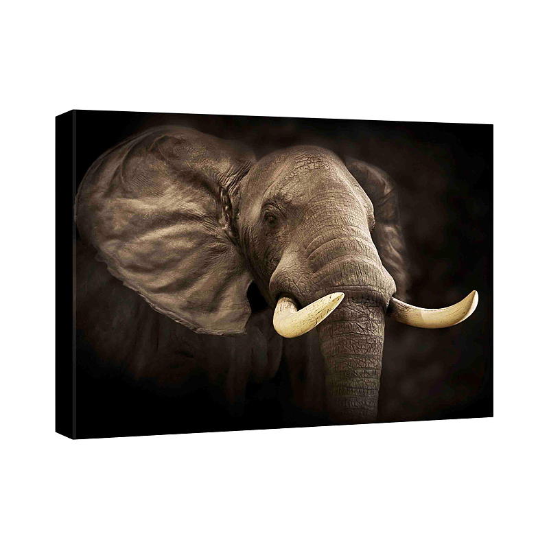 Home Canvasbilde 70x100 cm