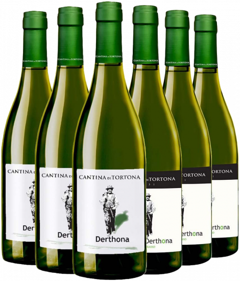 Kennenlern-Paket - Cantina di Tortona