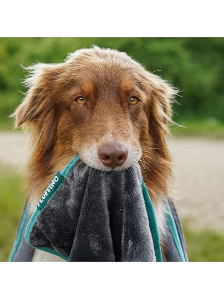 FLUFFINO Hundedecke/ Wendedecke / Kuscheldecke - 150x100 cm - Grau günstig kaufen onesize