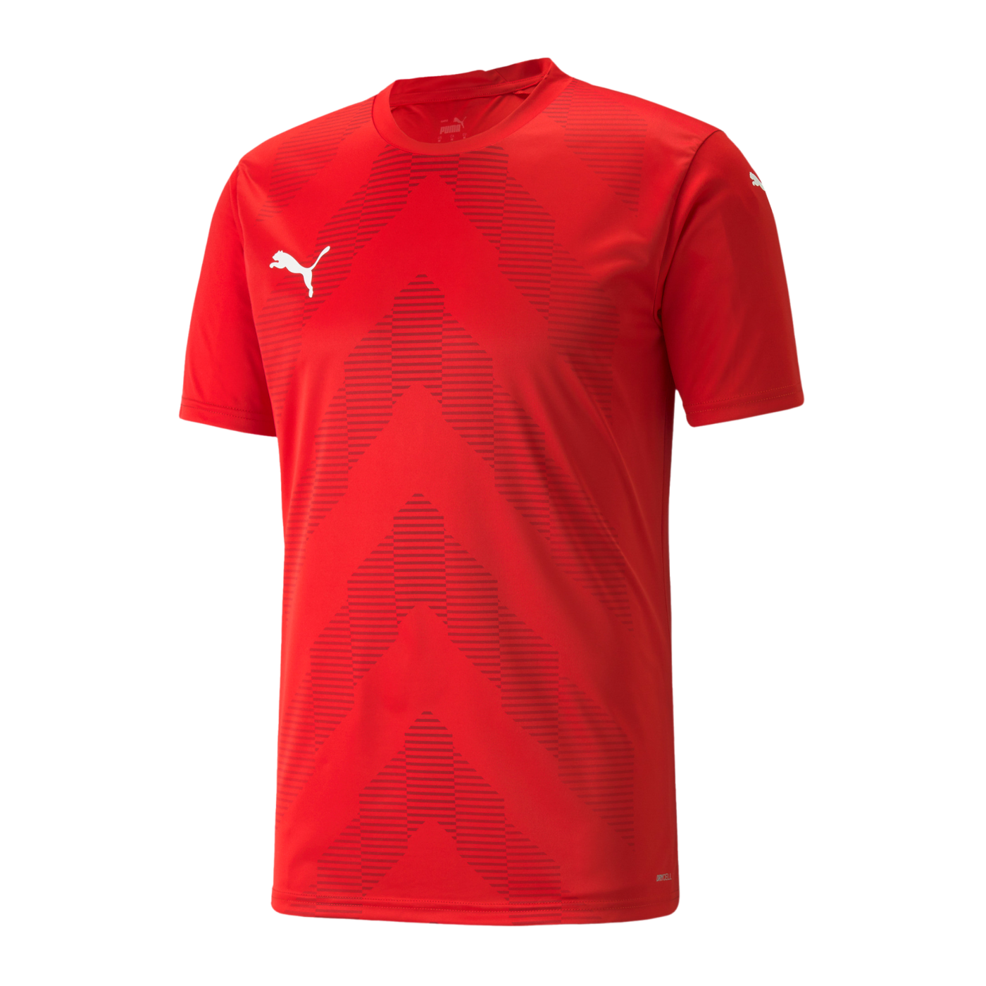 PUMA teamGLORY Trikot Kids Rot F01
