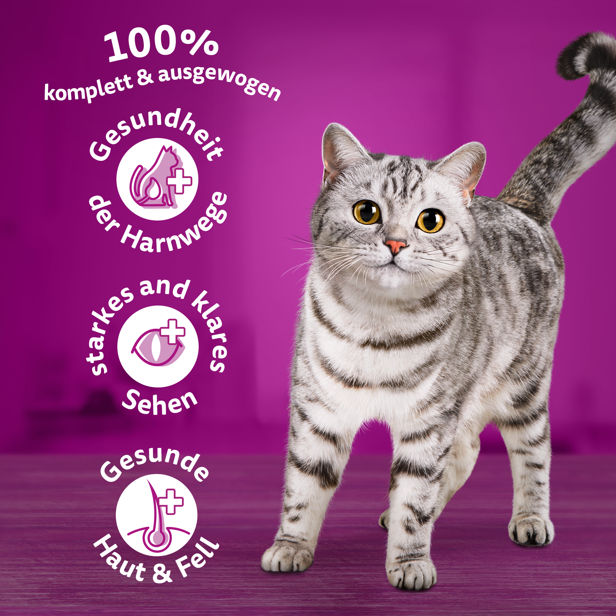 Whiskas Trockenfutter Whiskas Beutel 1+ mit Rind 3,8kg