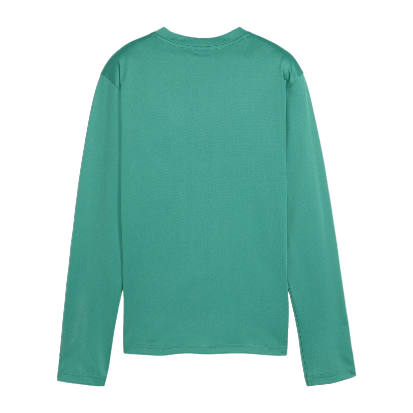PUMA teamGOAL Training Sweatshirt Damen Grün F05