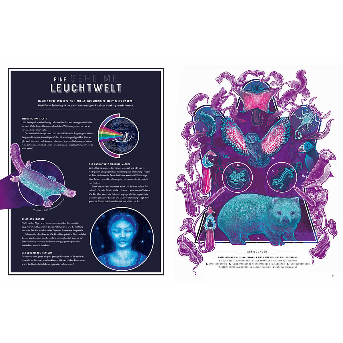 Glow - Das wundersame Leuchten der Natur