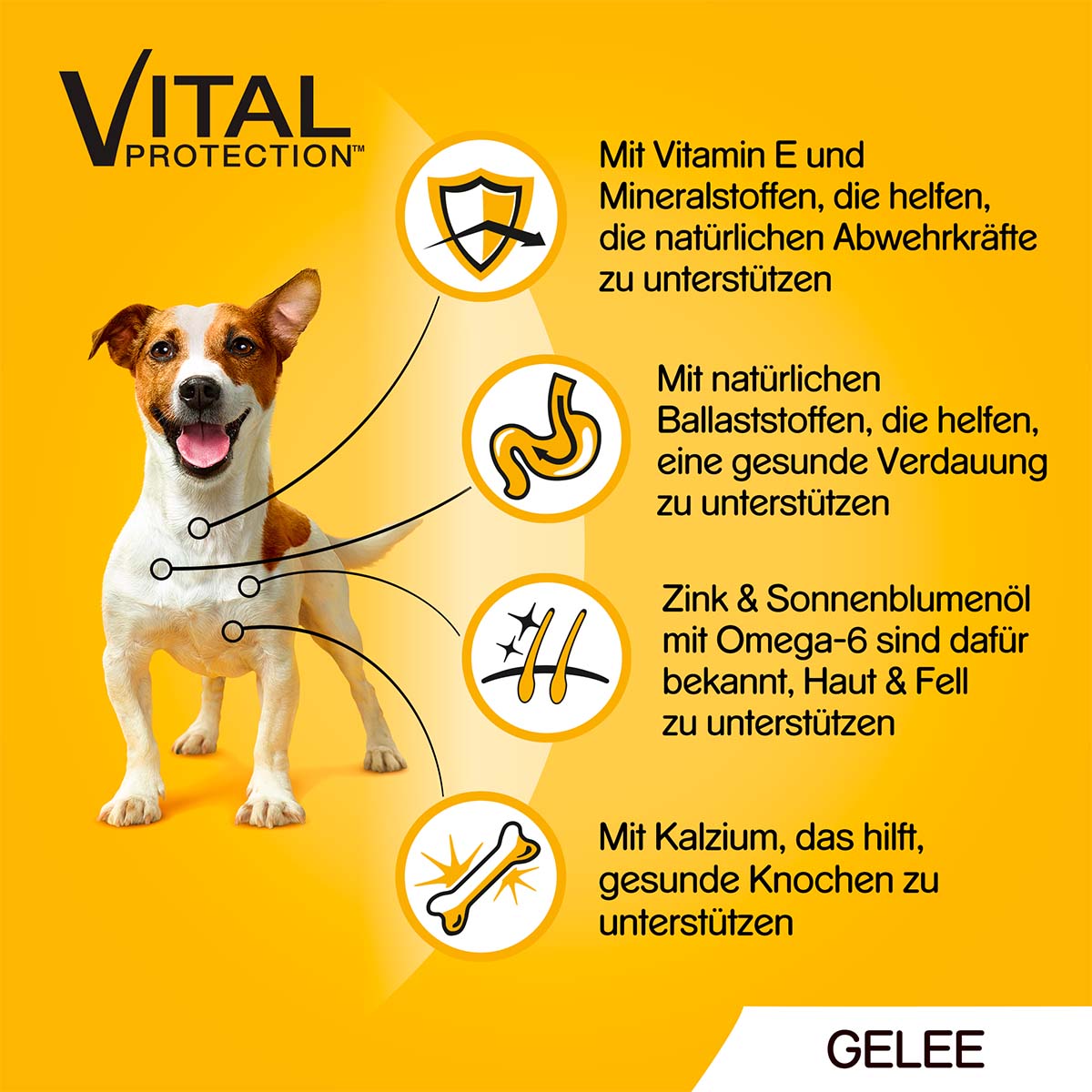 PEDIGREE Megapack Gemischte Selektion in Gelee 40x100g