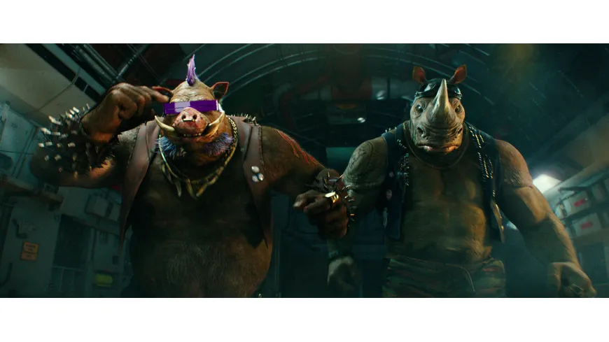 Teenage Mutant Ninja Turtles - Out of the Shadows  (+ Blu-ray 2D)