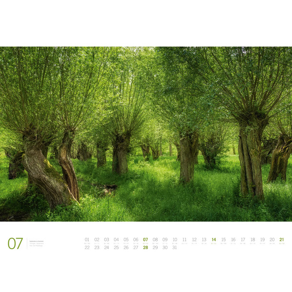 WALD - ACKERMANN GALLERY KALENDER 2024 - Kalender