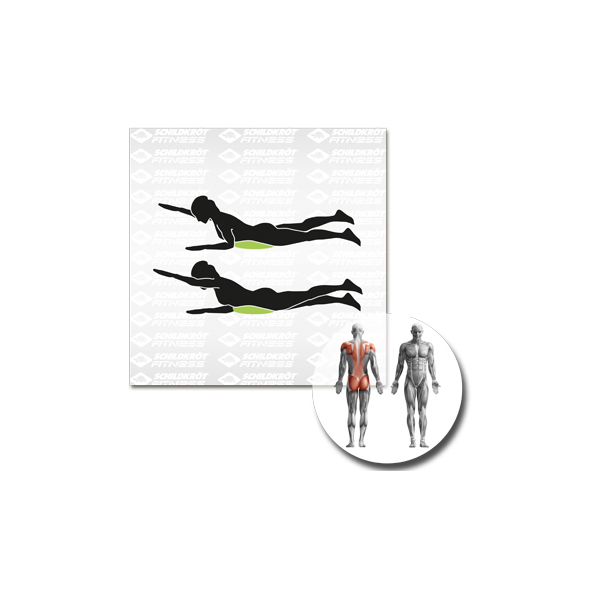 Schildkröt Fitness - Balance-Kissen Inflatable