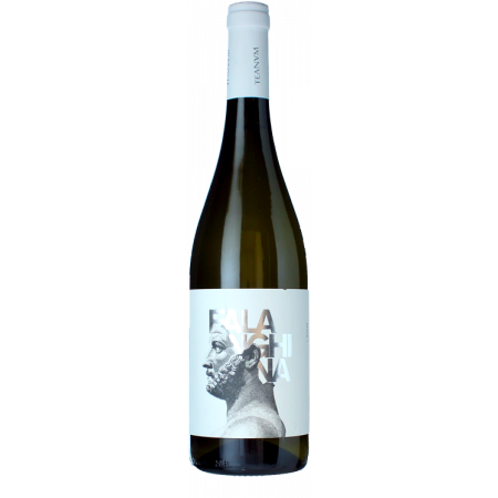 FAVUGNË FALANGHINA BIANCO 2022 - CANTINE TEANUM