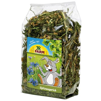 JR Farm Spitzwegerich