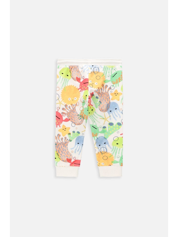 Coccodrillo Sporthose  in bunt günstig kaufen