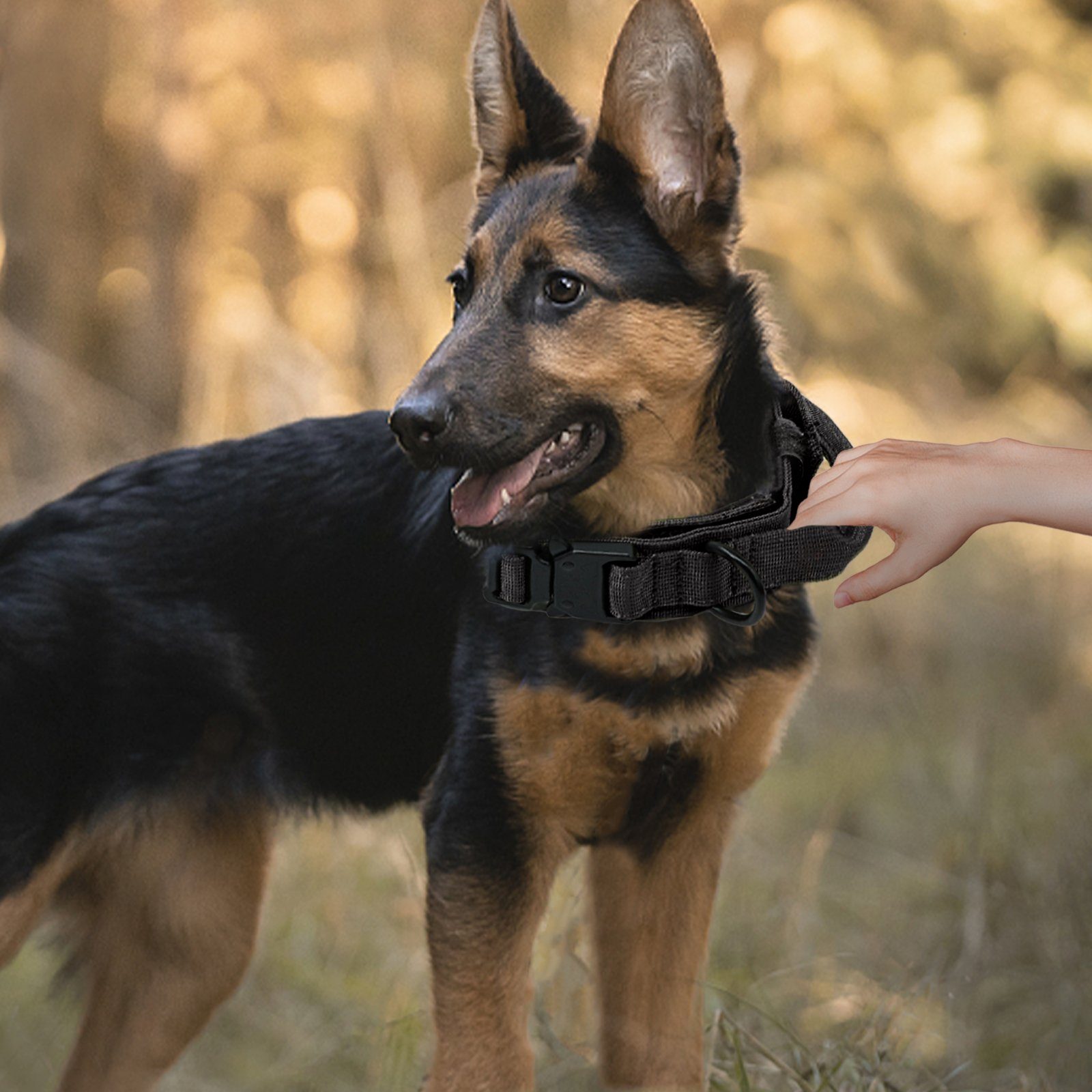 CALIYO Hunde-Halsband Militär Halsband Taktisches Hundehalsband mit Griff, für Mittlere Große Hunde Training Jagd, mit Robuste Metallschnalle