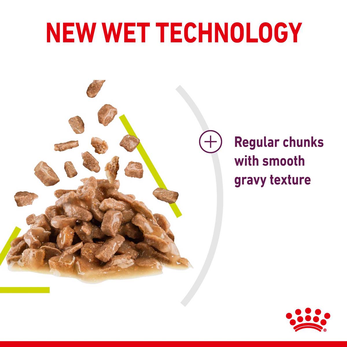 Royal Canin Sensory Smell Gravy günstig kaufen bei ZooRoyal