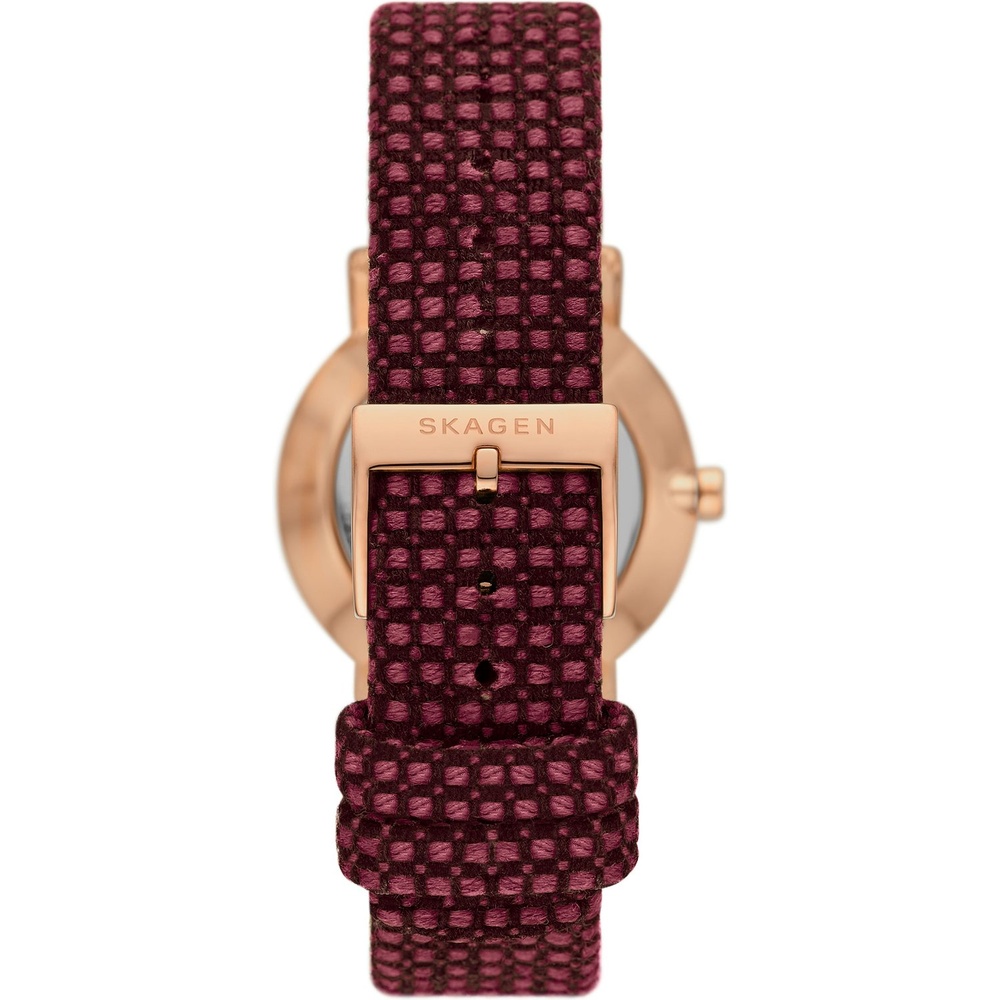 Skagen Montre pour femme Acier inoxydable Montre