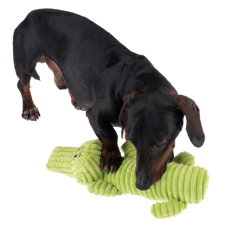 TIAKI Hundespielzeug Jack Squeaker zu TOP-Preisen