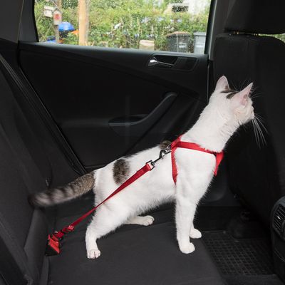 Trixie Auto-Geschirr für Katzen