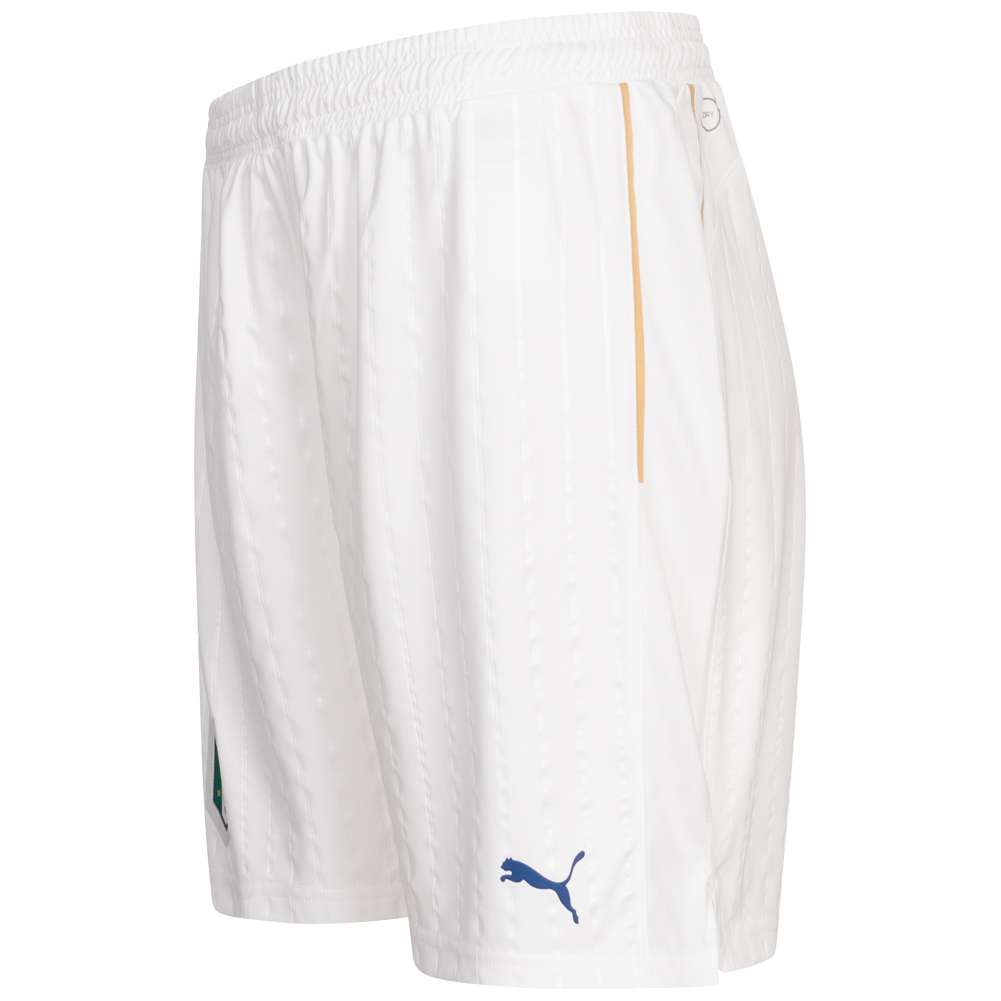 Italien FIGC PUMA Promo Damen Shorts 748818-02
