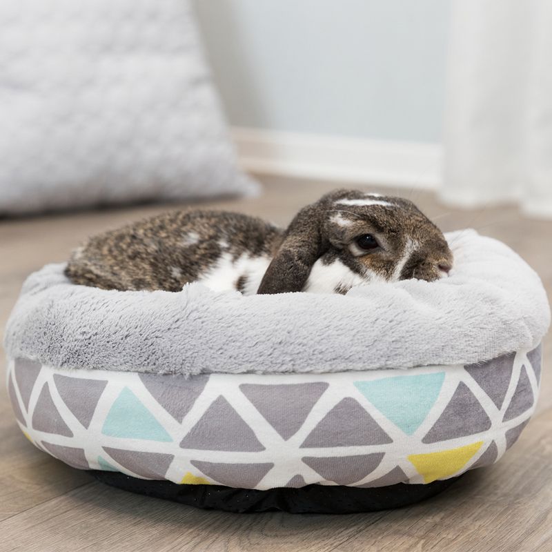 Trixie Kleintier-Kuschelbett Sunny zu TOP-Preisen