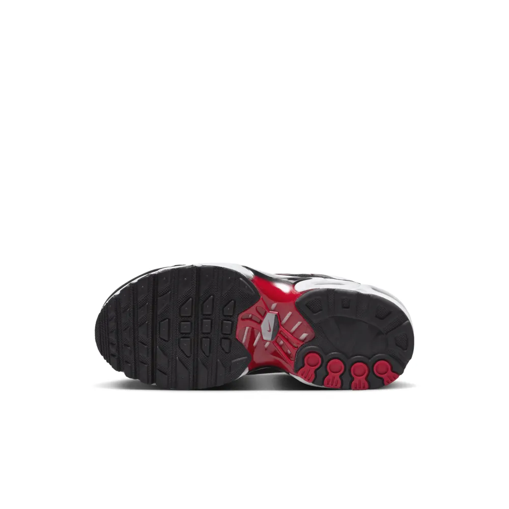 Nike Air Max Plus CD0610-027 / grau