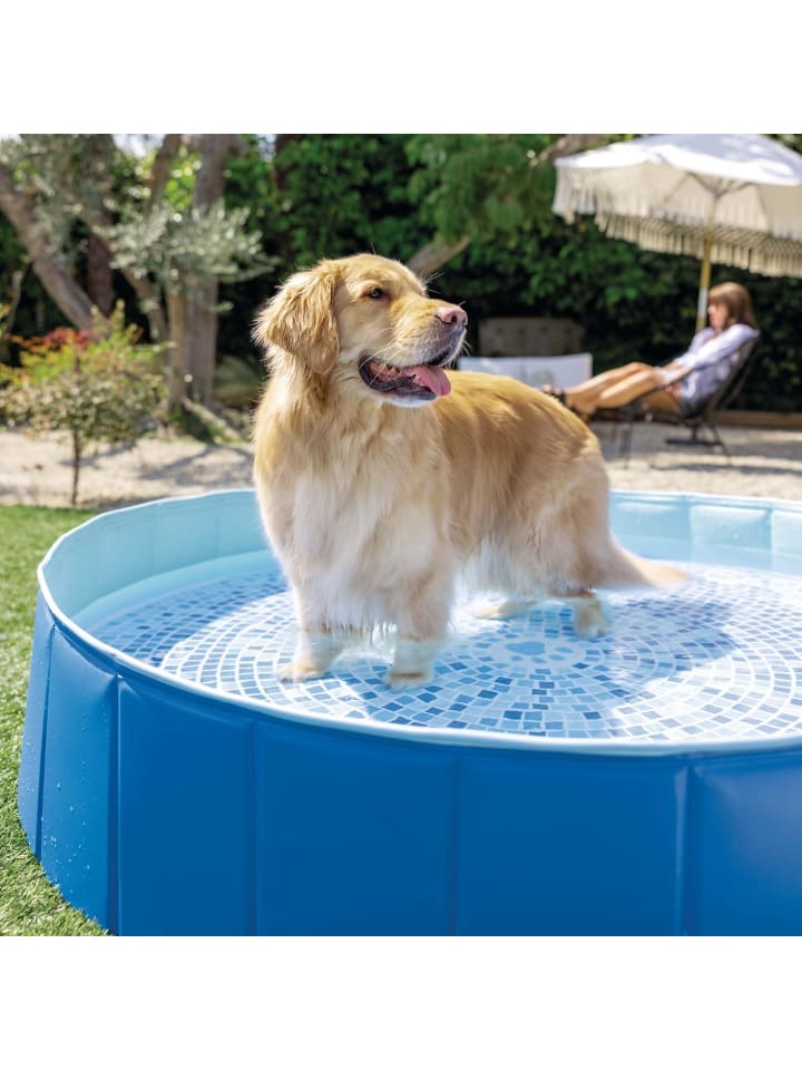 Intex faltbarer Hundepool 152x30cm in blau günstig kaufen onesize