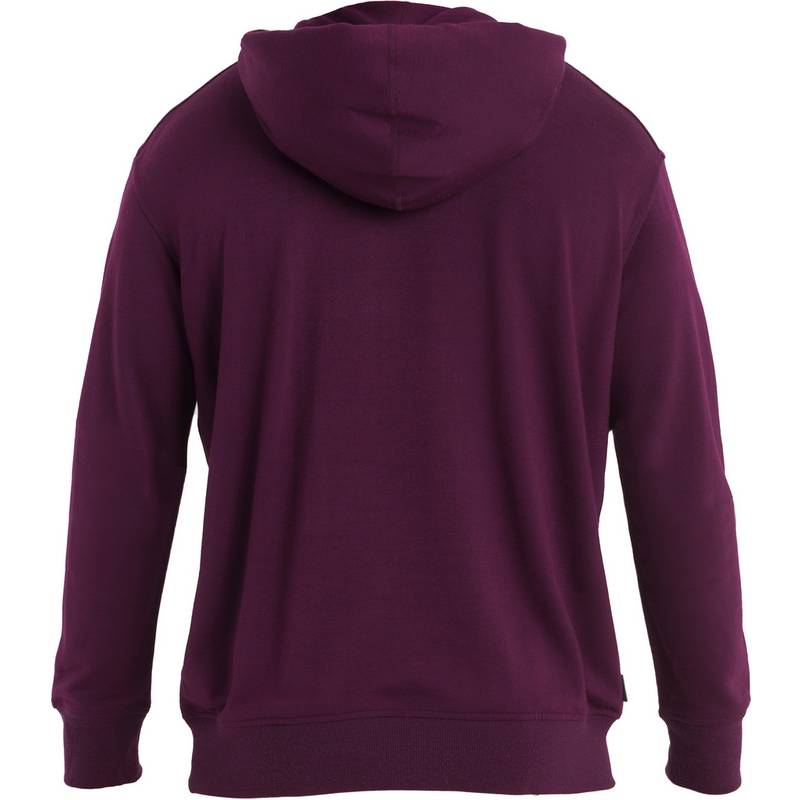 Icebreaker Shifter II Hoodie Herren