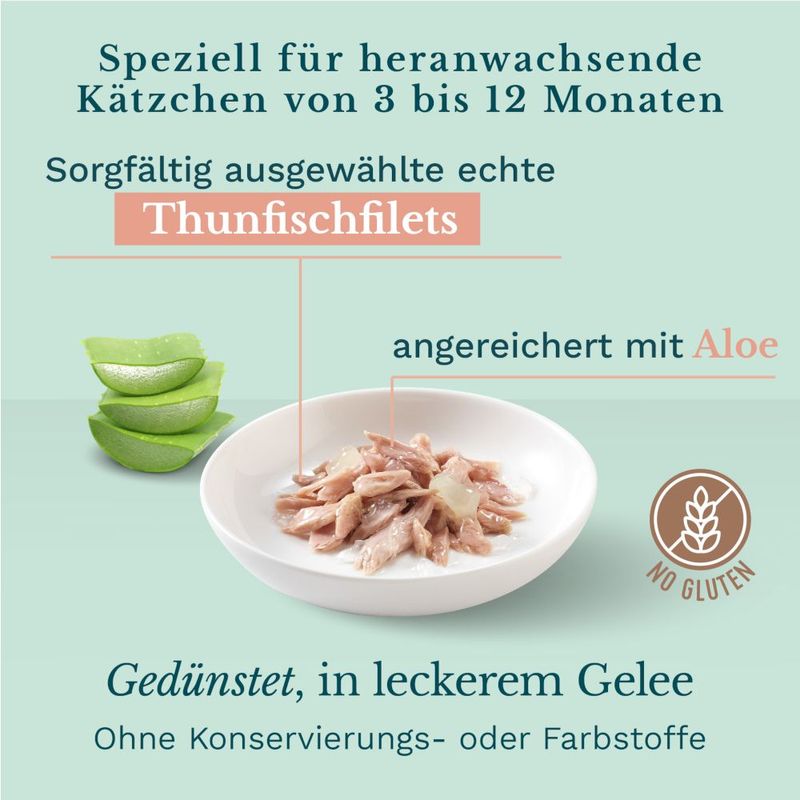 Schesir in Gelee 6 x 140 g zu TOP-Preisen