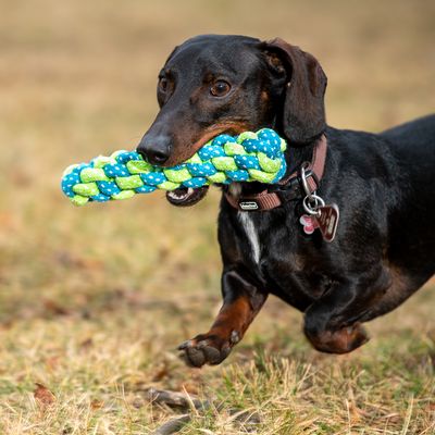 Hundespielzeug Limoen Stick