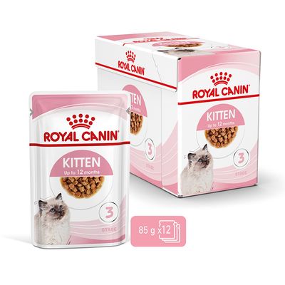 Royal Canin Kitten in Soße