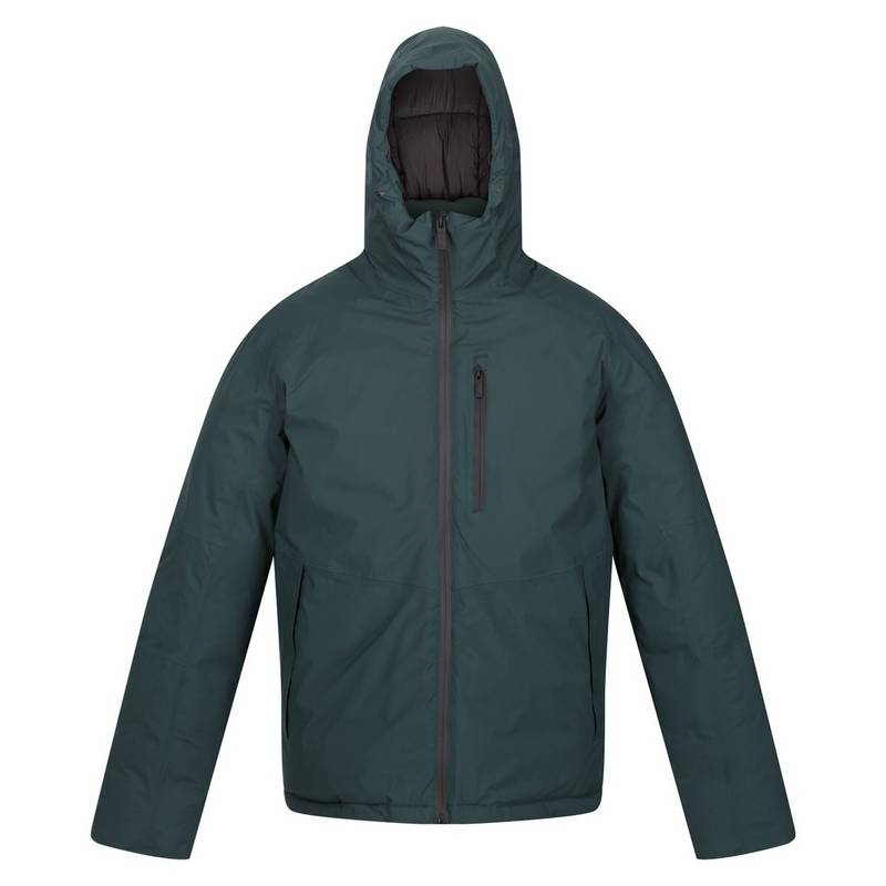 Regatta Colehurst Winterjacke Herren