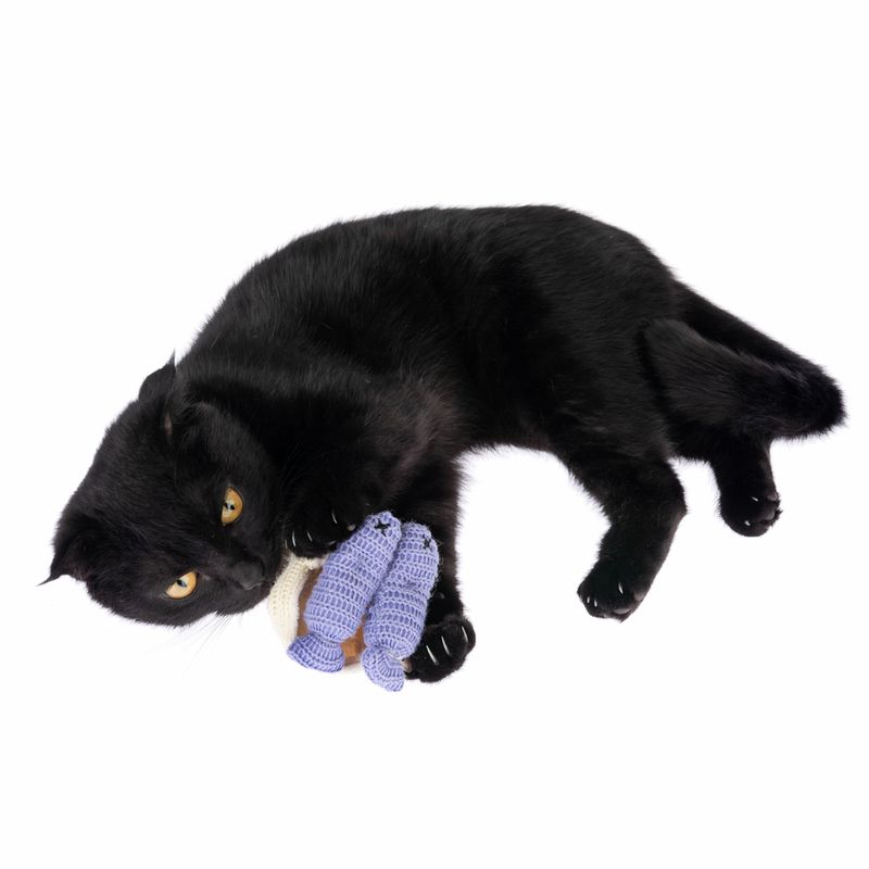 TIAKI Katzenspielzeug Strick-Sardinen mit Katzenminze | bitiba %