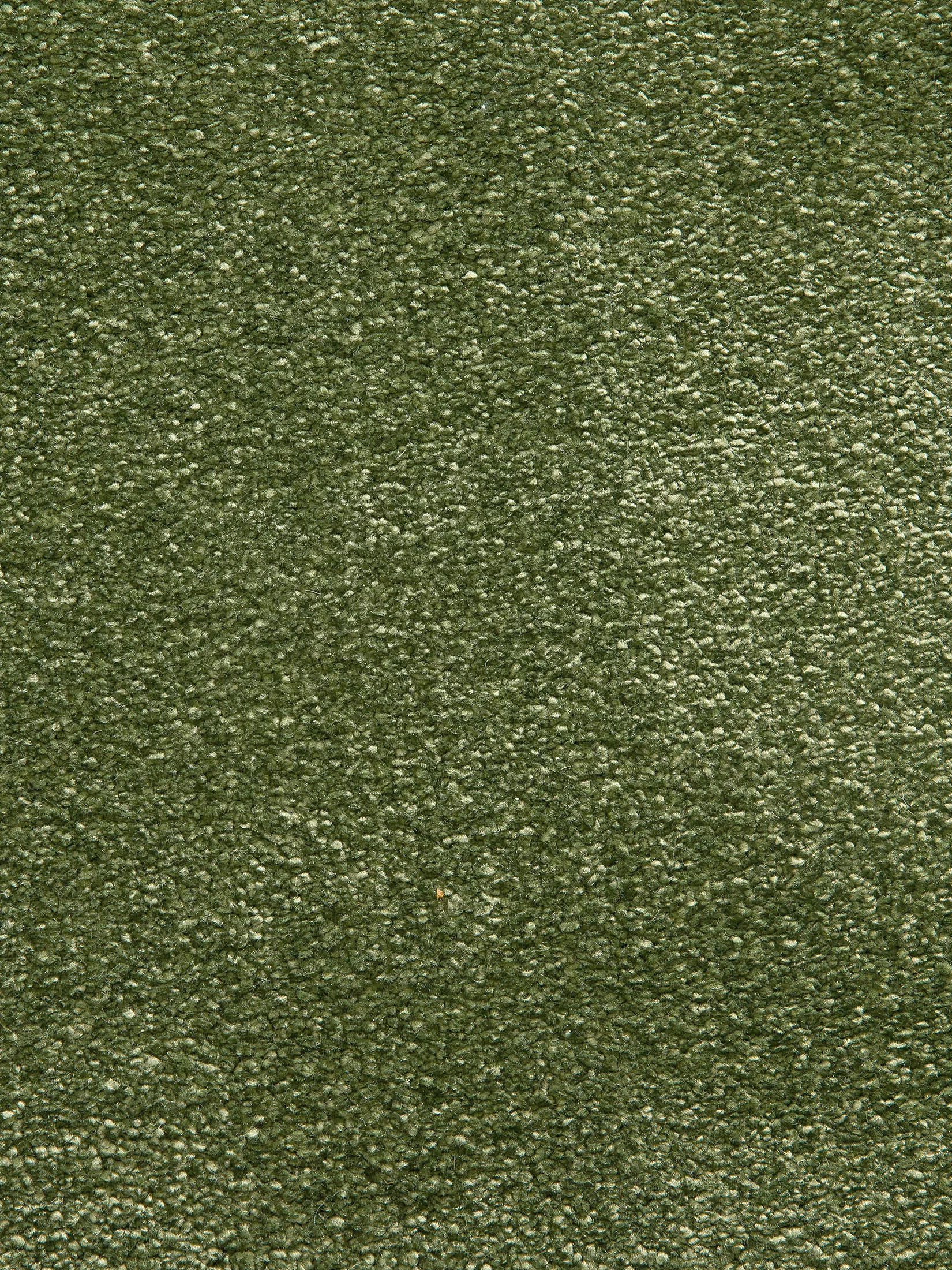 Sovereign Hochflor-Teppich, Mocca
