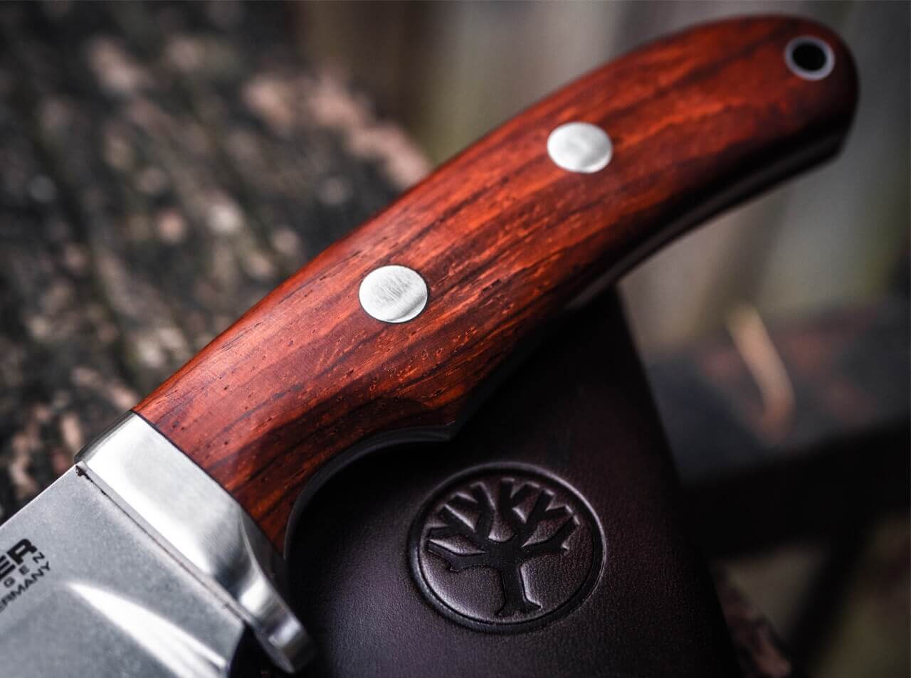 Savannah Cocobolo