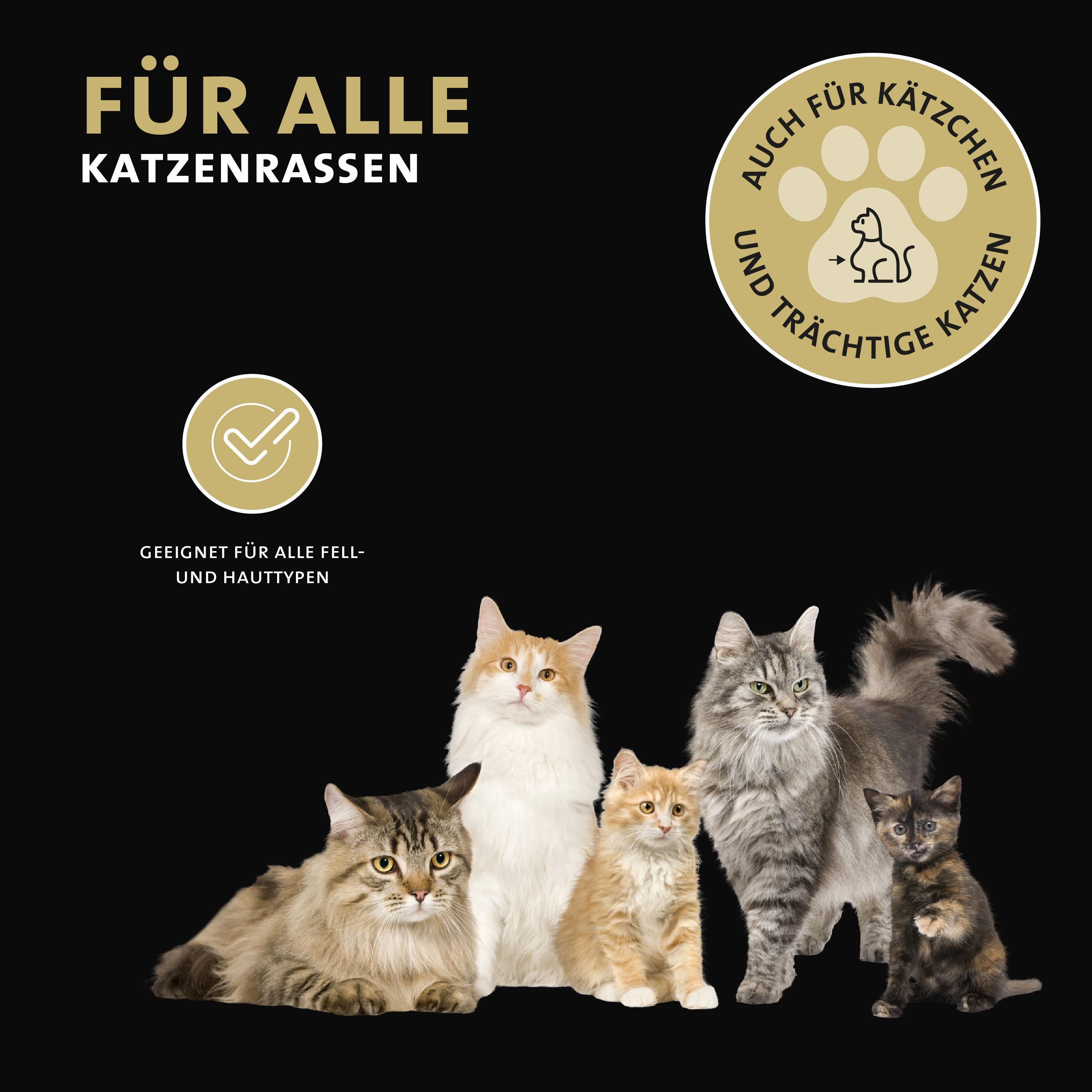 Peticare Ohrenreiniger petCat Health 3011 - Ohrmilben, Ohrräude Lotion für Katzen (100 ml), 1-tlg., kein Neemöl, kein Teebaumöl, keinen Schwarzkümmel, keine Terpene