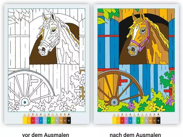 CreArt Malen nach Zahlen ab 7: Pferde