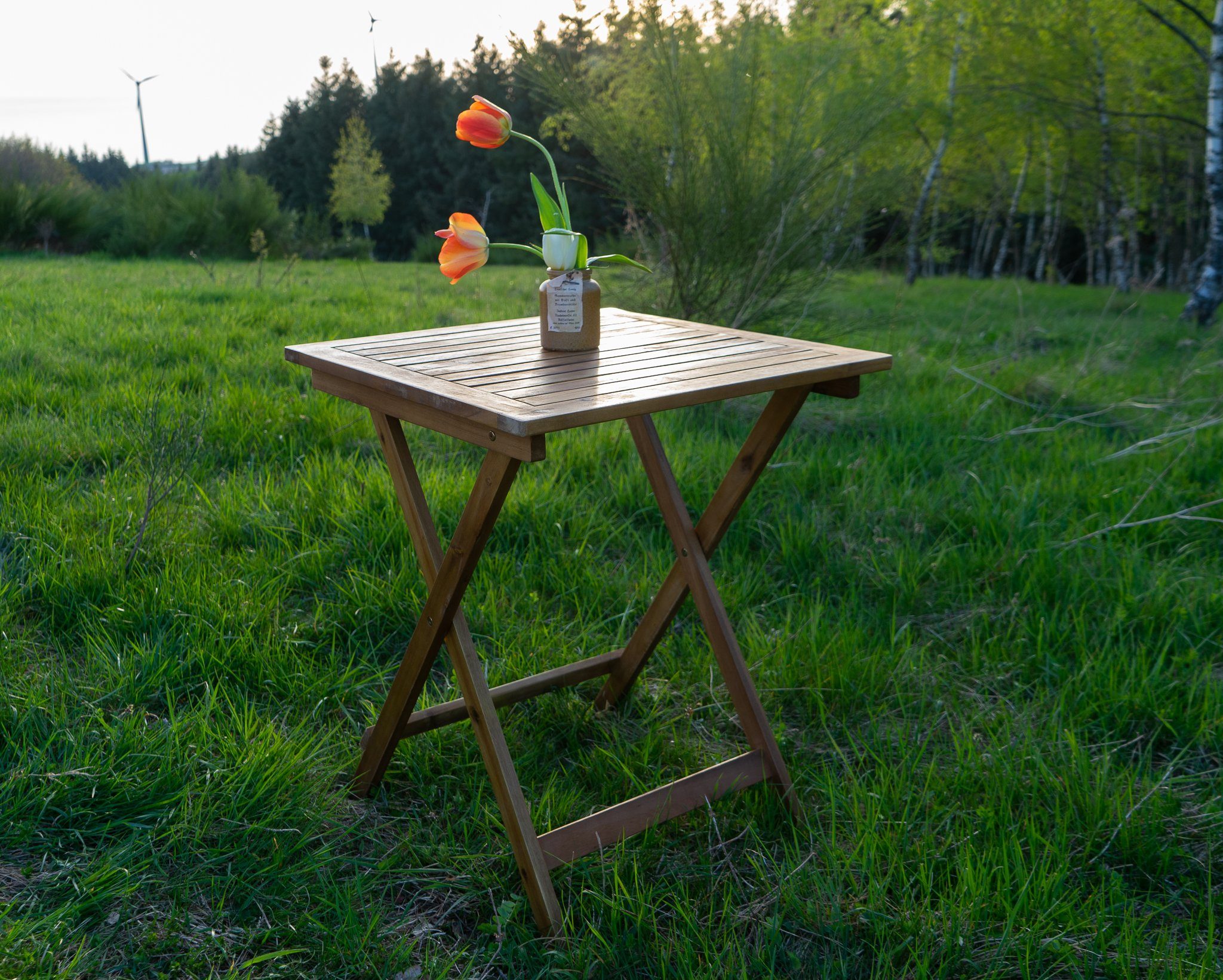 Liadomo Klapptisch Blossom (Tisch mit Klappgestell), Holztisch, Gartentisch, praktisch klappbar zum Verstauen