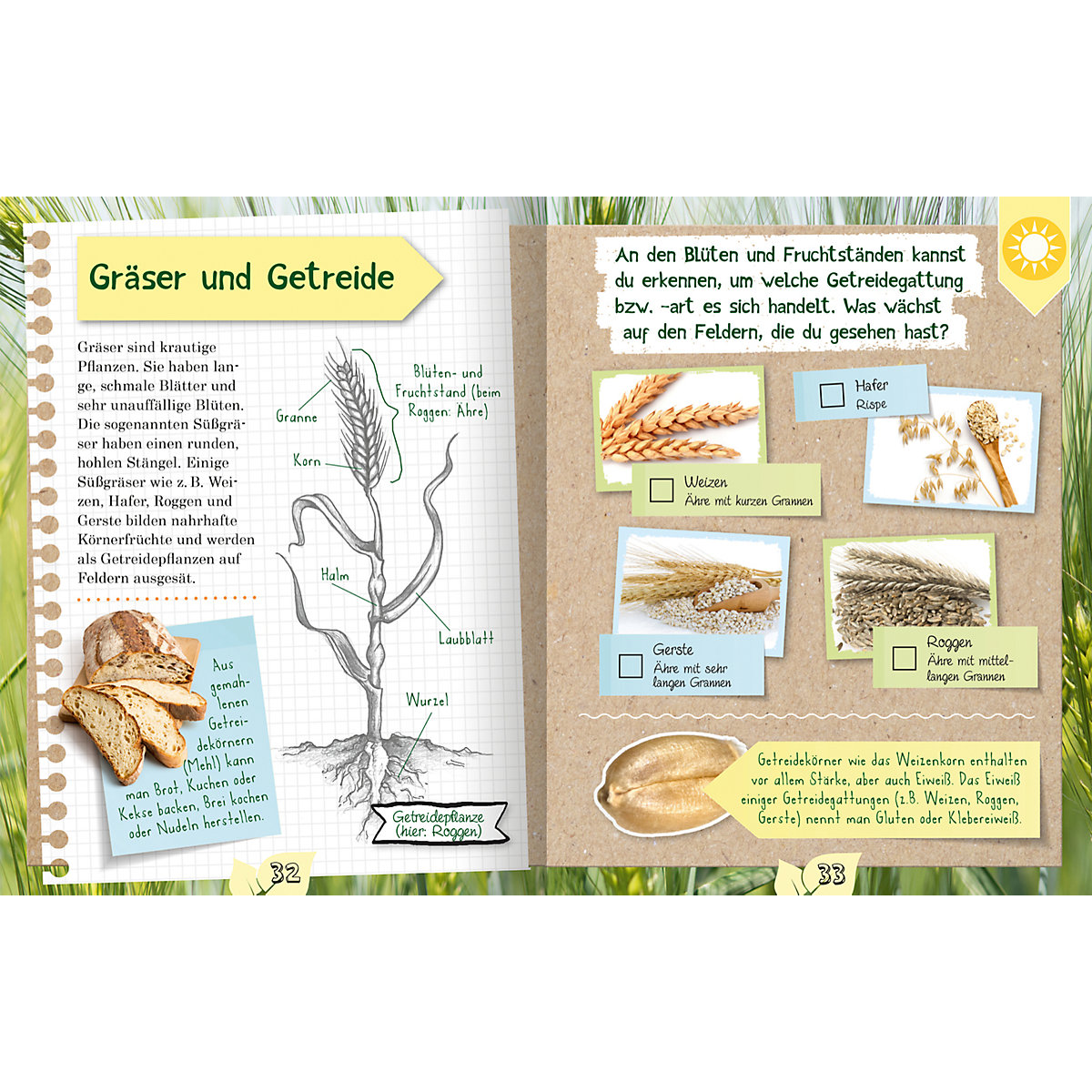 Das Naturforscher-Buch