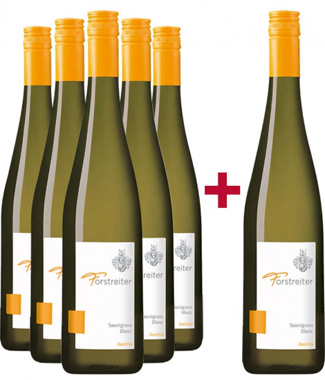 5+1 Paket Sauvignon Blanc - Weingut Forstreiter