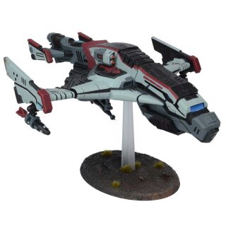 Deadzone Enforcer Accuser Interceptor/Persecutor Bomber