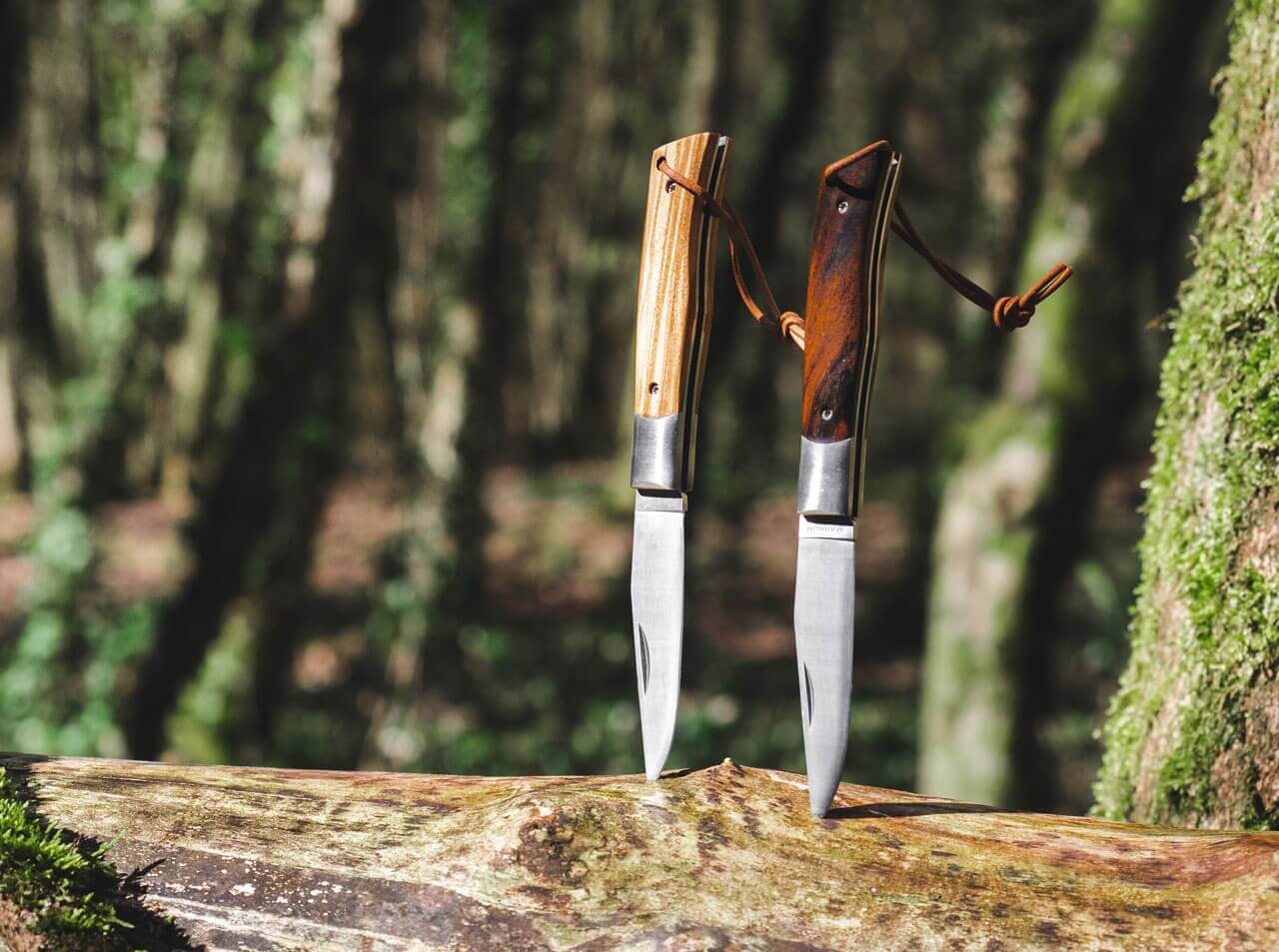 Parzival Olive