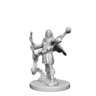 Elf Male Sorcerer: Pathfinder Deep Cuts Unpainted Minis