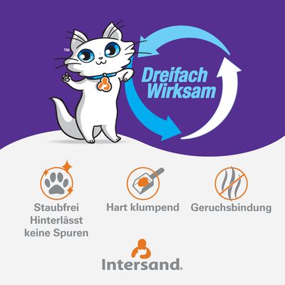 Intersand Classic Katzenstreu Pinienwald