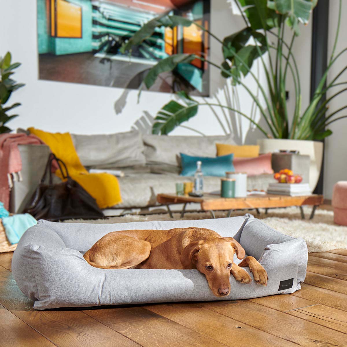 furrysoul Hundebett Emma grau günstig kaufen bei ZooRoyal