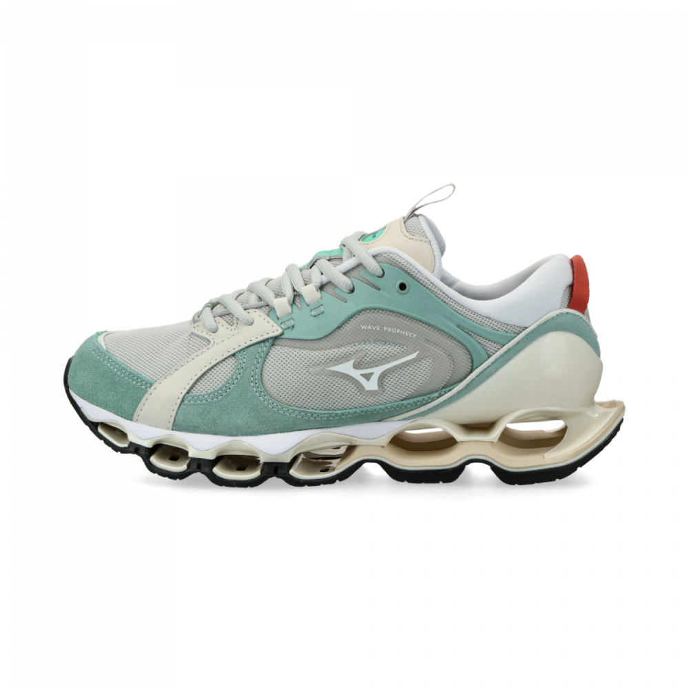 Mizuno Wave Prophecy 2 D1GA235002 / grau