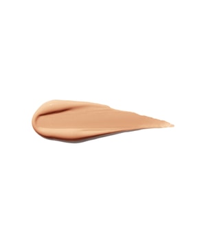 Shiseido Synchro Skin Self-Refreshing Concealer-5.8 ml
