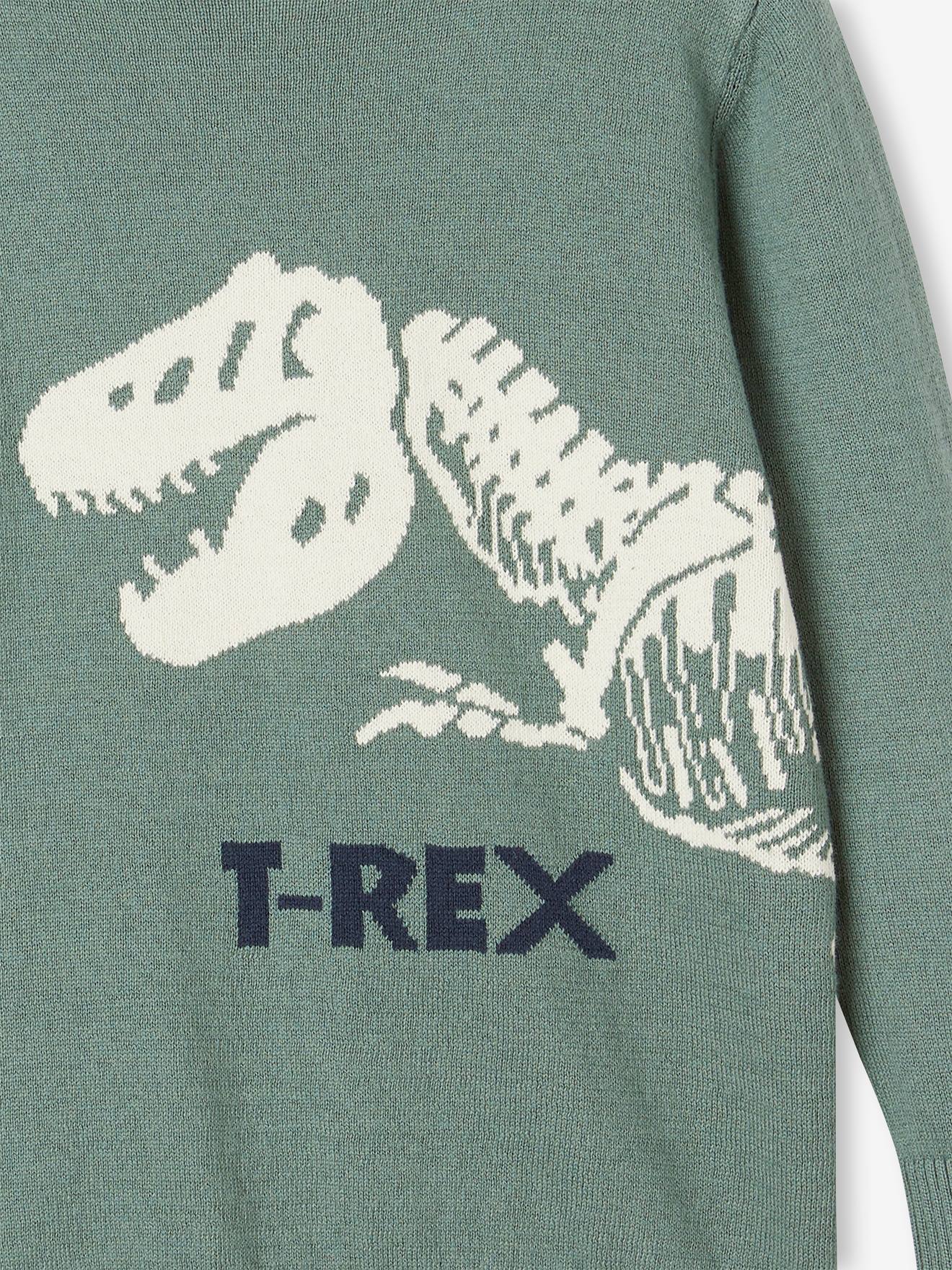 Vertbaudet Jungen Pullover mit Dino Oeko-Tex - salbeigrün